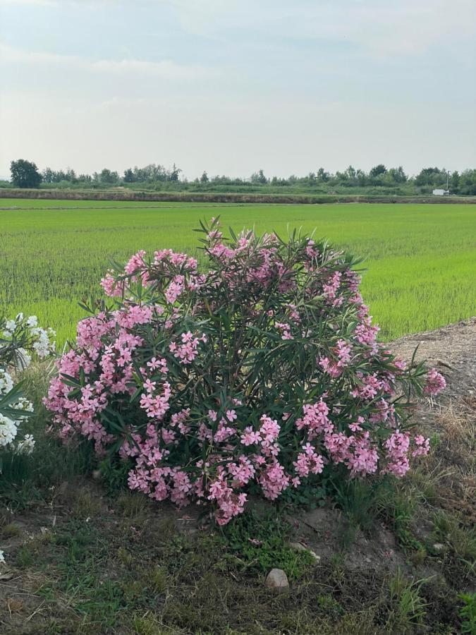 Tenuta Favorita Country House B&B Fontanetto Po Luaran gambar